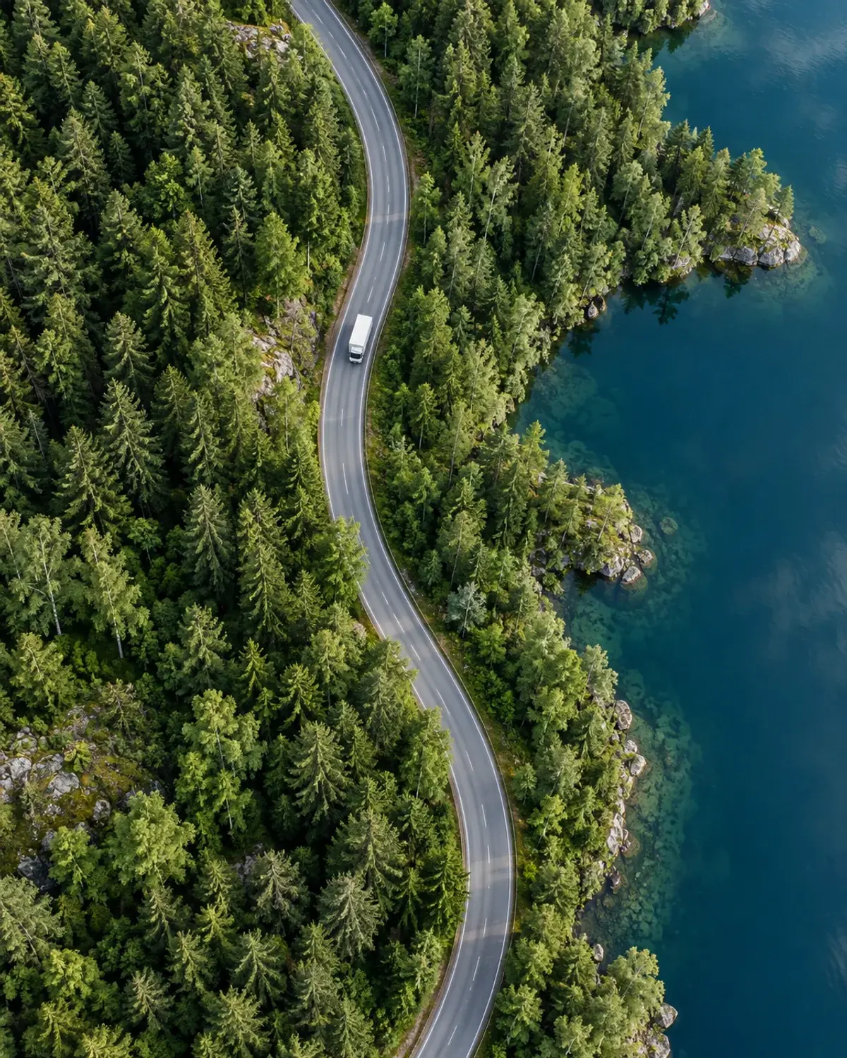 Concept forest road illustrating a sustainable transport direction.